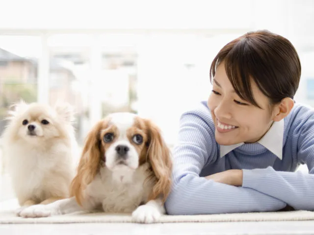 避妊・去勢手術